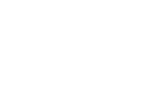 5n2 concepts logo white